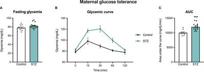 Maternal glucose intolerance during pregnancy affects offspring POMC expression and results in adult metabolic alterations in a sex-dependent manner